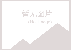 鹤山区梦碎零售有限公司